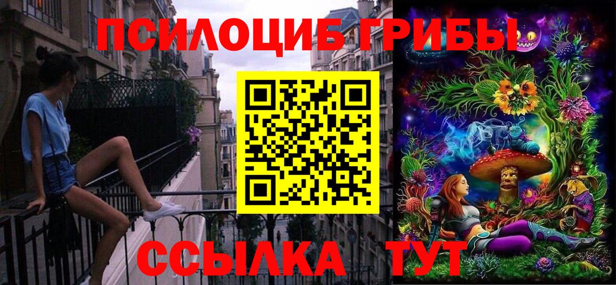 Псилоцибиновые грибы Psilocybe Зеленокумск