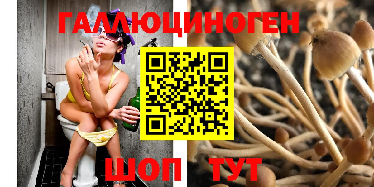 Псилоцибиновые грибы мухоморы  Вход с VPN  Зеленокумск  Псилоцибиновые грибы мицелий 